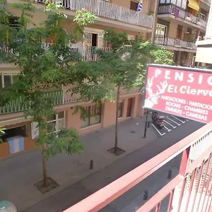  Pensión El Ciervo España